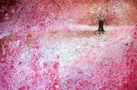 Afternoon Enchantment (Blossom)