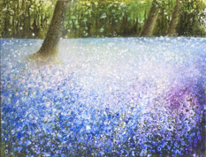 Bluebells - 2