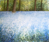 Bluebells - 3