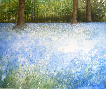 Bluebells - 4