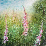 Foxgloves