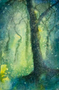 Night Glows through the Woods