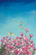 Sea Pink