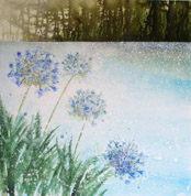 Tranquillity (Cornish Summer)