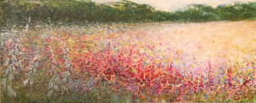 Wild flower paradise - 1