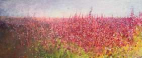 Wild flower paradise - 2