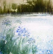Zen Garden 1