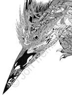 The Heron - detail / Available as Limited Edition prints, Open Edition prints (smaller) or canvas prints
