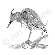 The Heron / Available as Limited Edition prints, Open Edition prints (smaller) or canvas prints