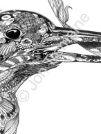 The Kingfisher - detail / Available as Limited Edition prints, Open Edition prints (smaller) or canvas prints