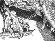 The Otter - detail / Available as Limited Edition prints, Open Edition prints (smaller) or canvas prints