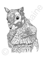 The Squirrel / Available as Limited Edition prints, Open Edition prints (smaller) or canvas prints