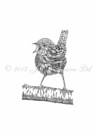 Jenny Wren