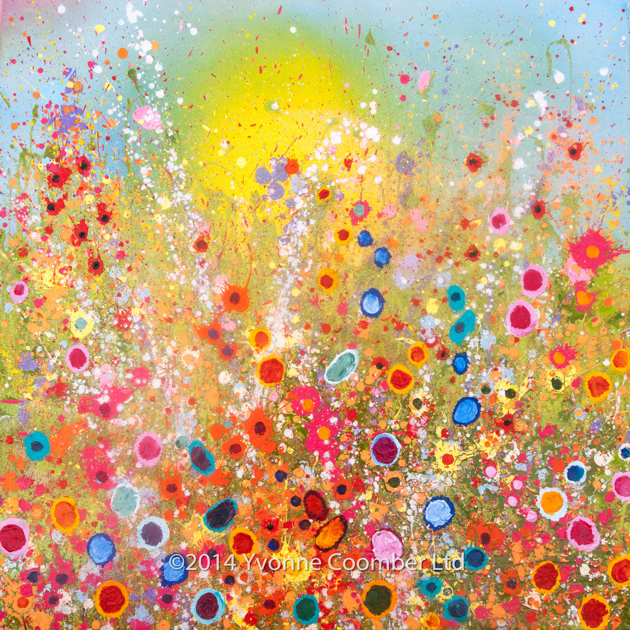 Yvonne Coomber prints at Imagianation Gallery, St Ives, Cornwall