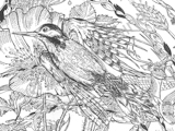 More about Jon Tremaine at Imagianation Gallery,
 St Ives